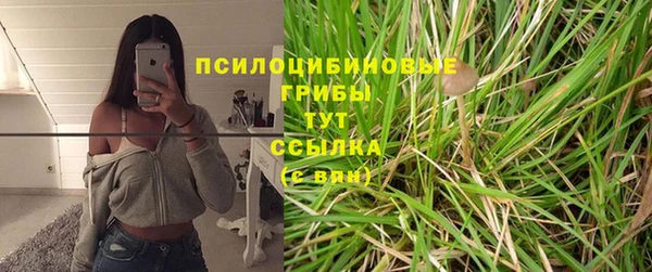 соль курить ск Алзамай