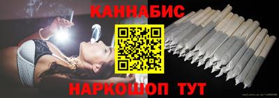 крисы Новодвинск