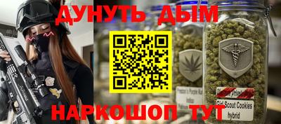 крисы Новодвинск