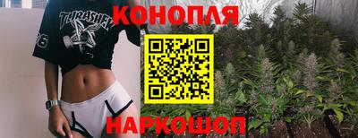 амф Новокубанск