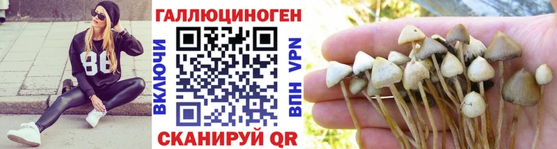 Псилоцибиновые грибы мухоморы  даркнет официальный сайт  Усинск 